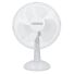 TOUGH MASTER® Desk Fan 12" Lightweight Portable Table Fan with 3 Speeds - 30 Watts (TM-DF12W)